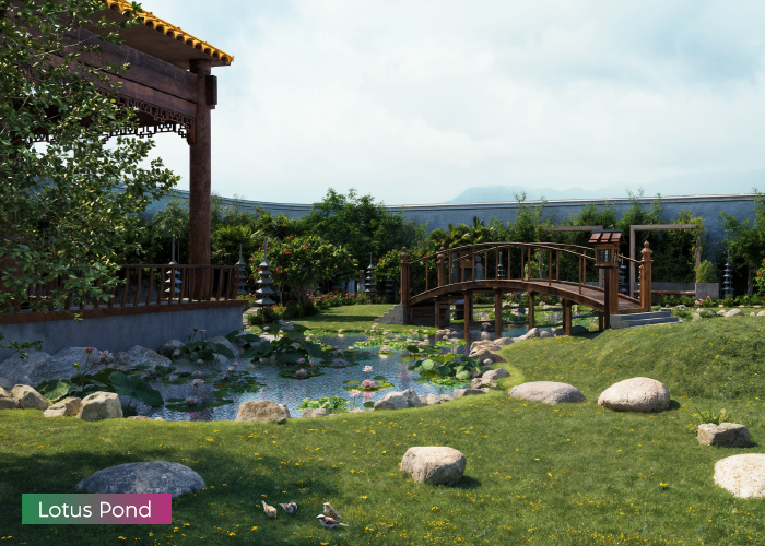 Lotus-Pond